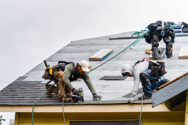 Professional Gutter Installation technician working in Juniata, NE